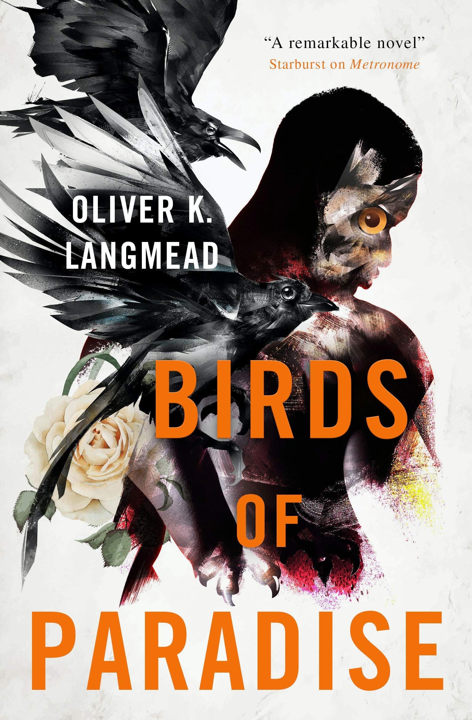 Birds of Paradise: Langmead, Oliver K.: 9781789094817: Amazon.com: Books