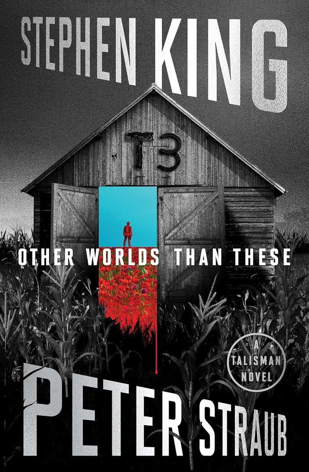 US Cover art for Other Worlds Than These: A Talisman Novel (The Talisman Trilogy Book 3)